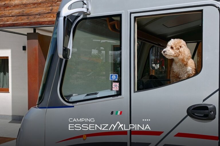 Camping pet friendly in Trentino tutto quello che devi sapere prima di partire