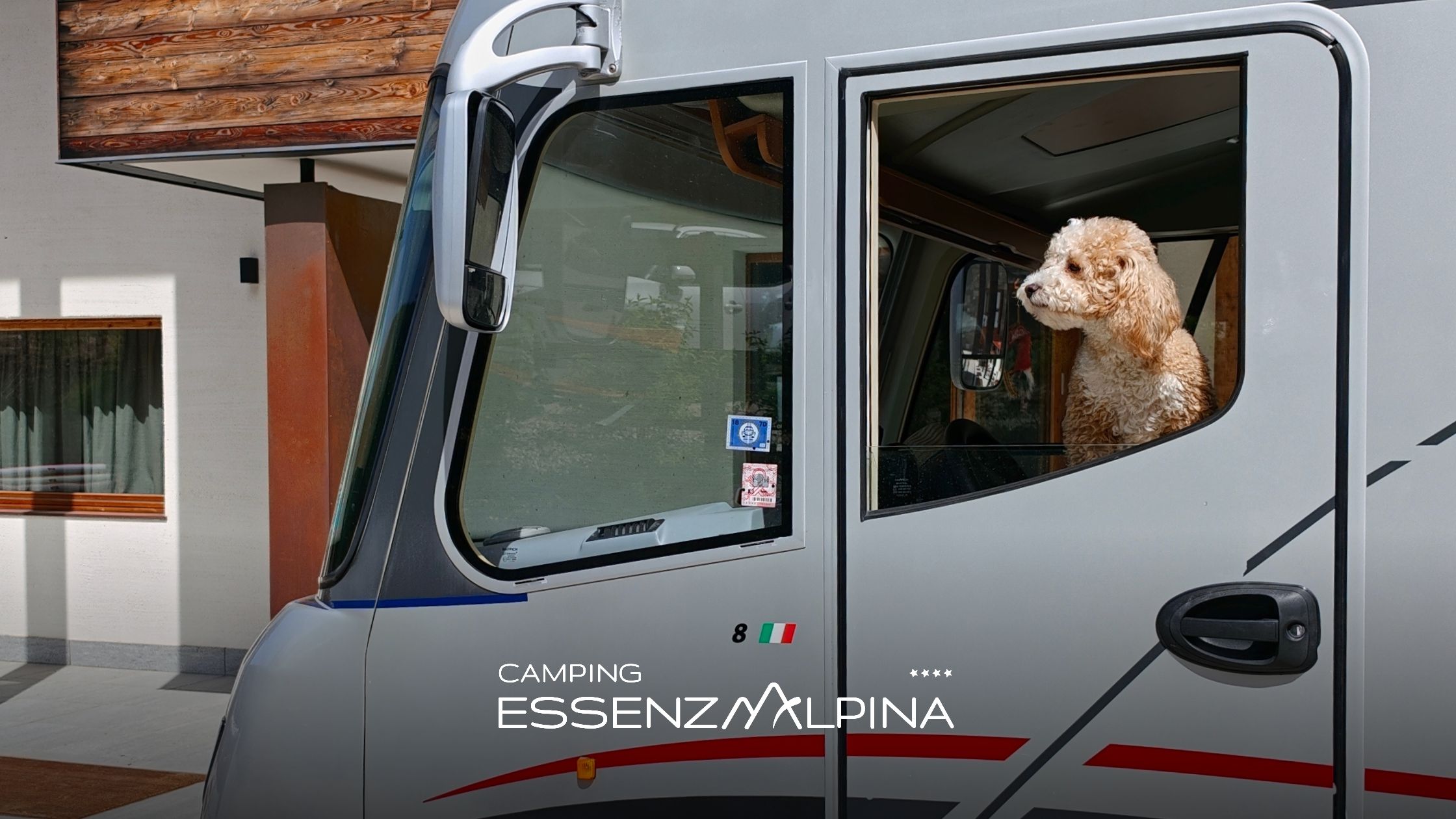 Camping pet friendly in Trentino tutto quello che devi sapere prima di partire
