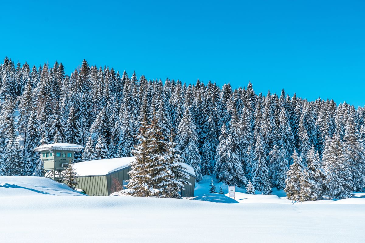 passo_coe_essenza_alpina